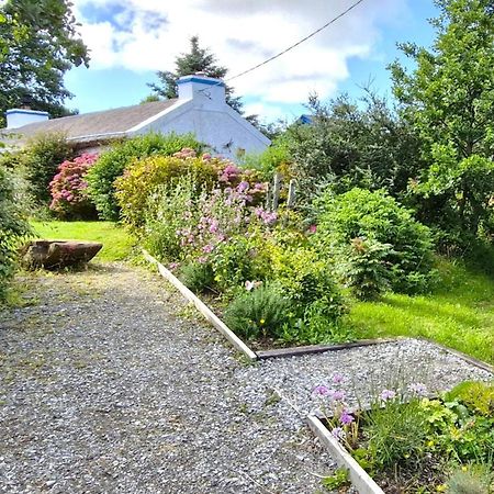 The Rockhouse - Cosy Stone Built Thatch Cottage Dungloe Bagian luar foto