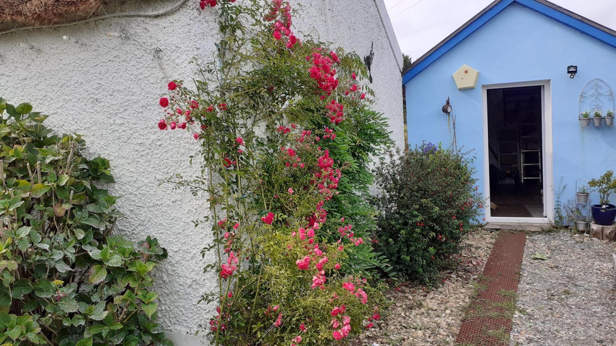 The Rockhouse - Cosy Stone Built Thatch Cottage Dungloe Bagian luar foto
